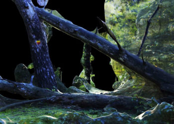 THIJS LINSSEN – make your enemy your friend – 1, 5 meter protocol