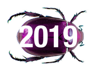 JAARVERSLAG SCARABEE