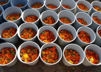 ARTBORNE 2020  – – – — V for Victory – Anne ten Ham