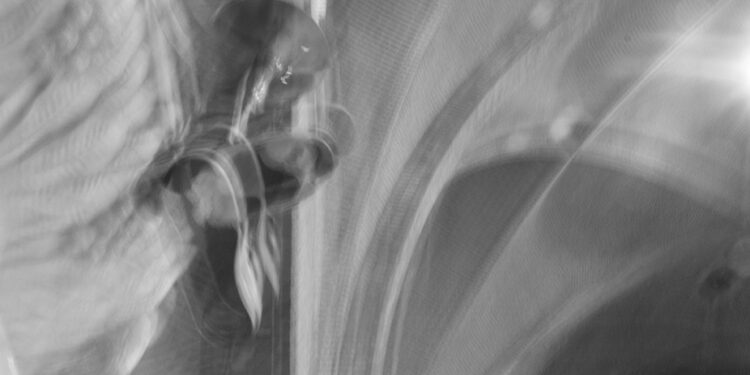 ANOUK MULDERS – Aandacht voor de ruis – Filmhuis Oosterbeek