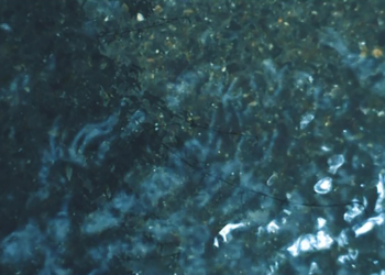 TER PLEKKE – interactieve installatie – weekendexpositie H29 – start 29-10-21