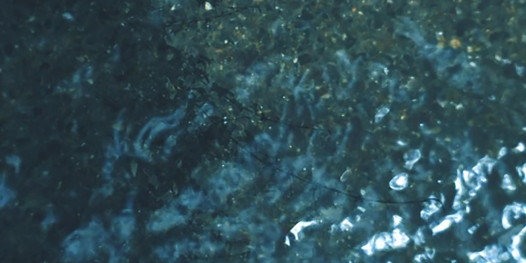 TER PLEKKE – interactieve installatie – weekendexpositie H29 – start 29-10-21