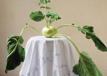 ARJANNE BOEKHOUT & RUUD WILLEMS – Meet Your Greens – Filmhuis Oosterbeek