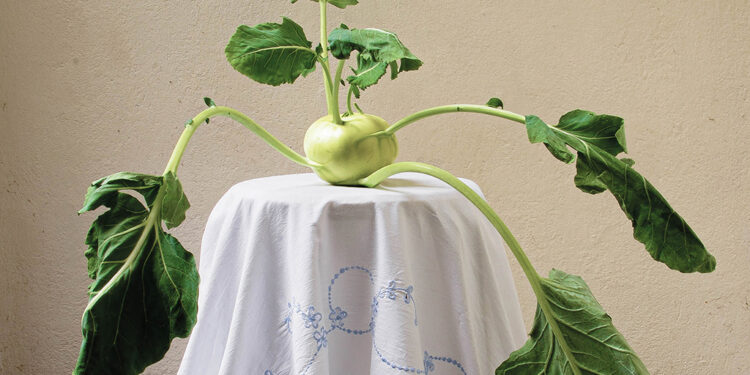 ARJANNE BOEKHOUT & RUUD WILLEMS – Meet Your Greens – Filmhuis Oosterbeek