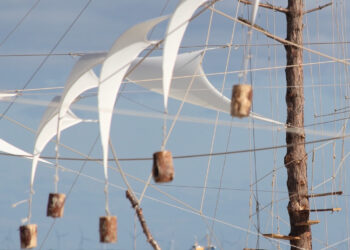 ARTBORNE 2022 – De Luchtbrug en 23 picknicktafels