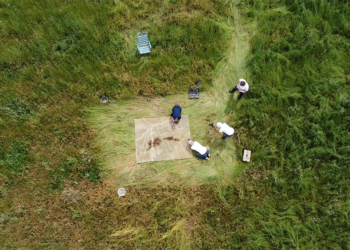 LISELOT COBELENS – DRYLAND; Collective vista on a changing landscape – H29