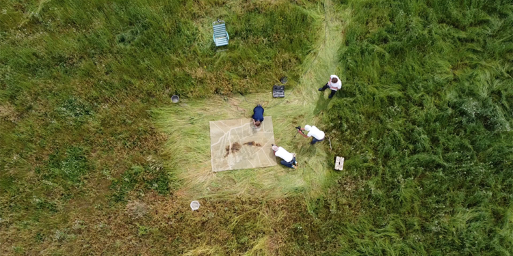 LISELOT COBELENS – DRYLAND; Collective vista on a changing landscape – H29