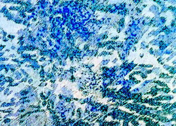 TON NELEMANS – GRAFIEK – Filmhuis Oosterbeek