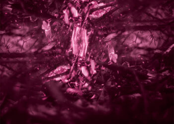 AFGESTOFT & SPLINTERNIEUW – kunst-Kerstmarkt 2022