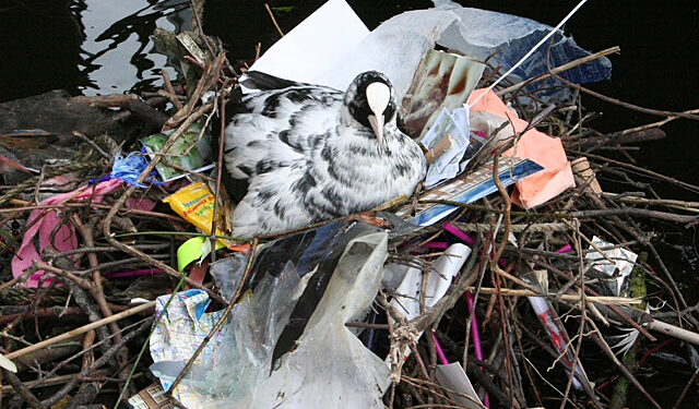 SEMÂ BEKIROVIĆ, MAARTEN BEL, LIEDEWIJ VAN EIJK, BART NIJBOER, ISABELLE BISSELING (CURATOR) – Run the World (Birds) – H29 / De Hes Oosterbeek