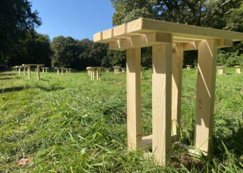 ARTBORNE 2024 – Rustplaats – Maurice Meewisse