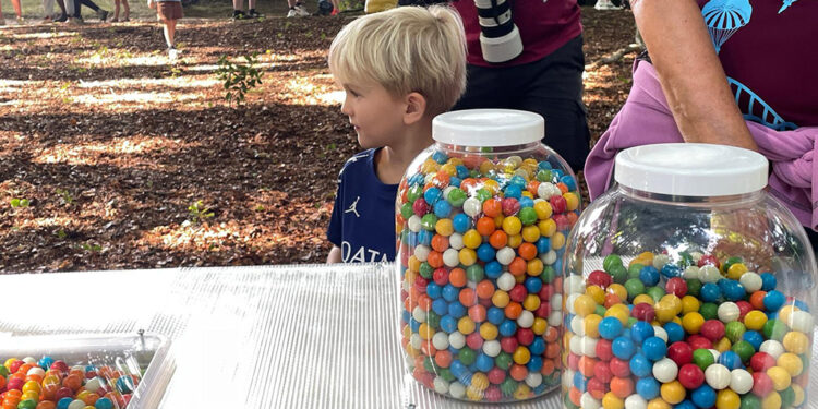 ARTBORNE 2025 – Gumlab: sticky data – Atelier ARI