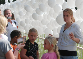 ARTBORNE 2010 – DE BALLONNENMUUR, 1756 ballonnen en de vrijheid – Buro Buurvrouw