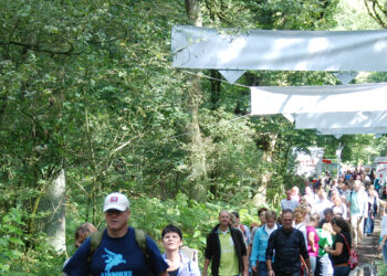 ARTBORNE – De Poort – Léon Mommersteeg