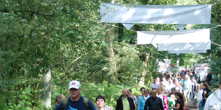 ARTBORNE 2009 – De Poort – Léon Mommersteeg