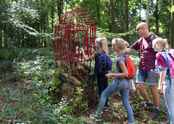 ARTBORNE 2017 – OUT OF THE BOX – Karin van der Molen