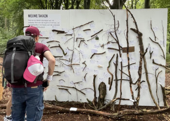 ARTBORNE 2023 – Het Takkenmuseum – Maarten Bel