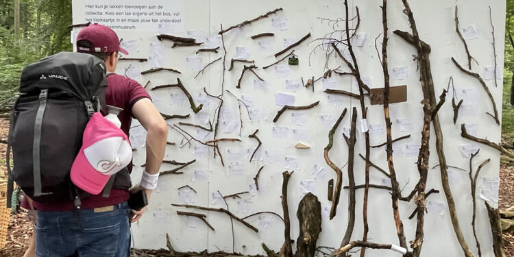 ARTBORNE 2023 – Het Takkenmuseum – Maarten Bel